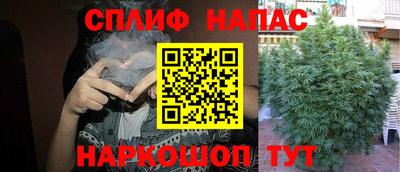 ешки Будённовск