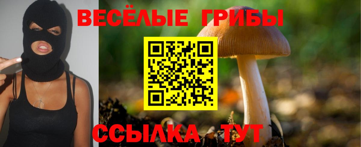 Петровск  Псилоцибиновые грибы мицелий  Вход с VPN 